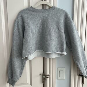 Aritzia TNA grey cropped sweatshirt size small. Great condition